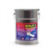 MOTOR-LIFE 9 PROFESSIONAL PENETRATOR 5L